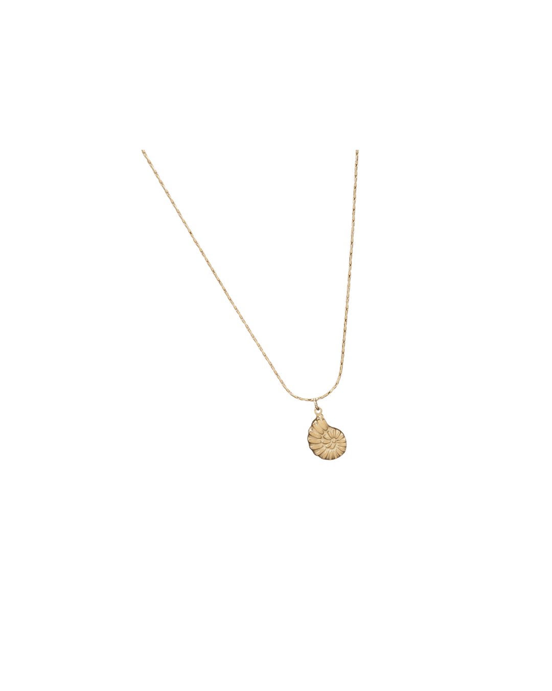 Textured Shell Pendant Necklace